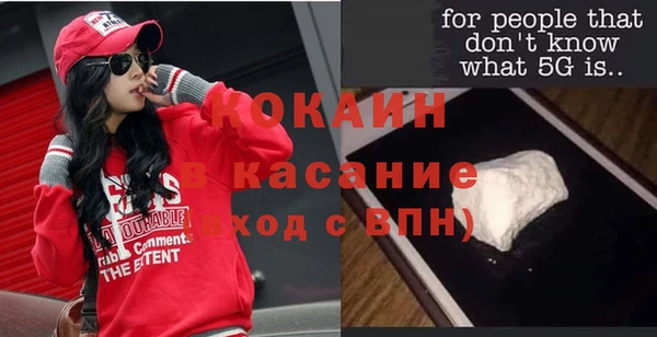 индика Богданович
