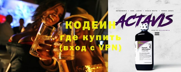 индика Богданович