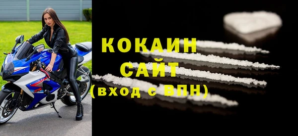 индика Богданович
