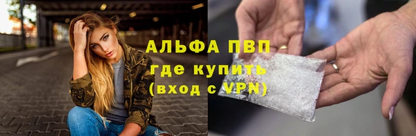 индика Богданович