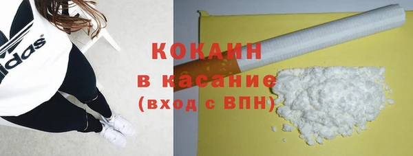 индика Богданович