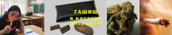 индика Богданович