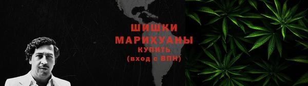 индика Богданович