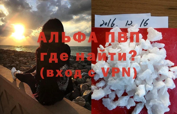 индика Богданович