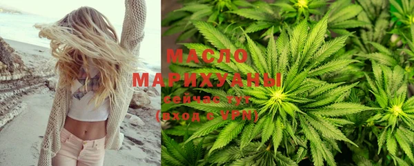 индика Богданович