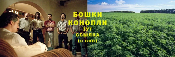 каннабис Богородицк