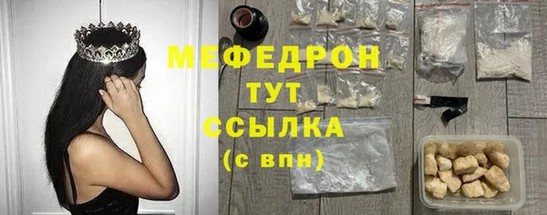 индика Богданович