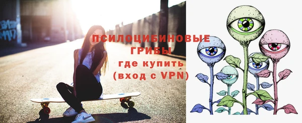 индика Богданович